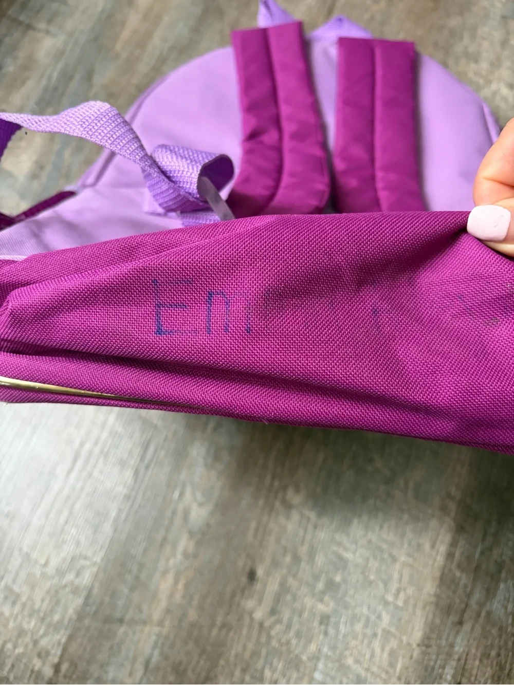 Disney Purple & Pink Anna and Elsa Holographic Backpack